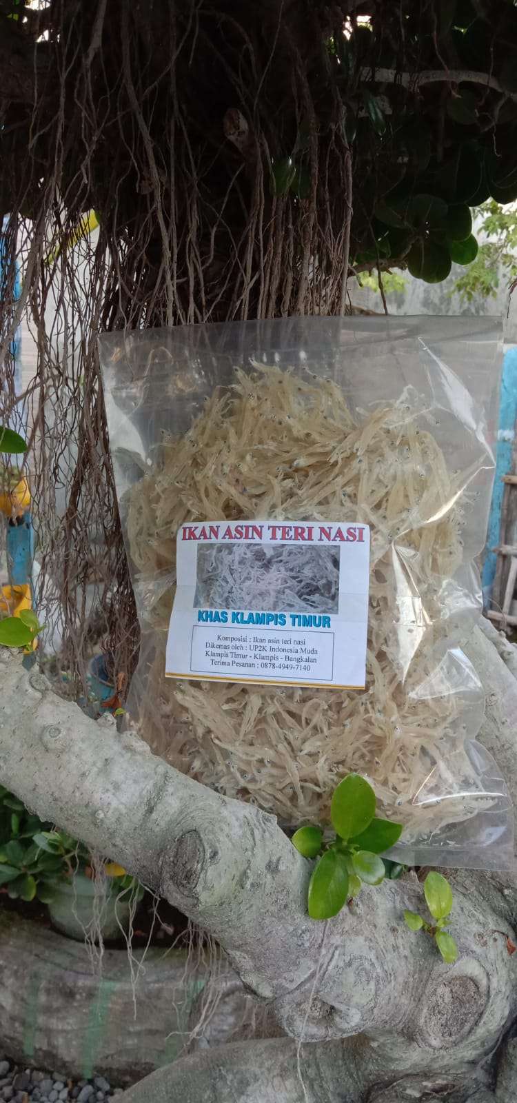 Ikan Kering Asin Teri Nasi/250Gr