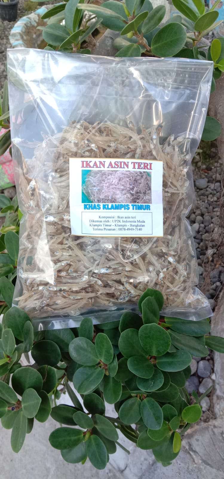 Ikan Kering Asin/ 250Gr