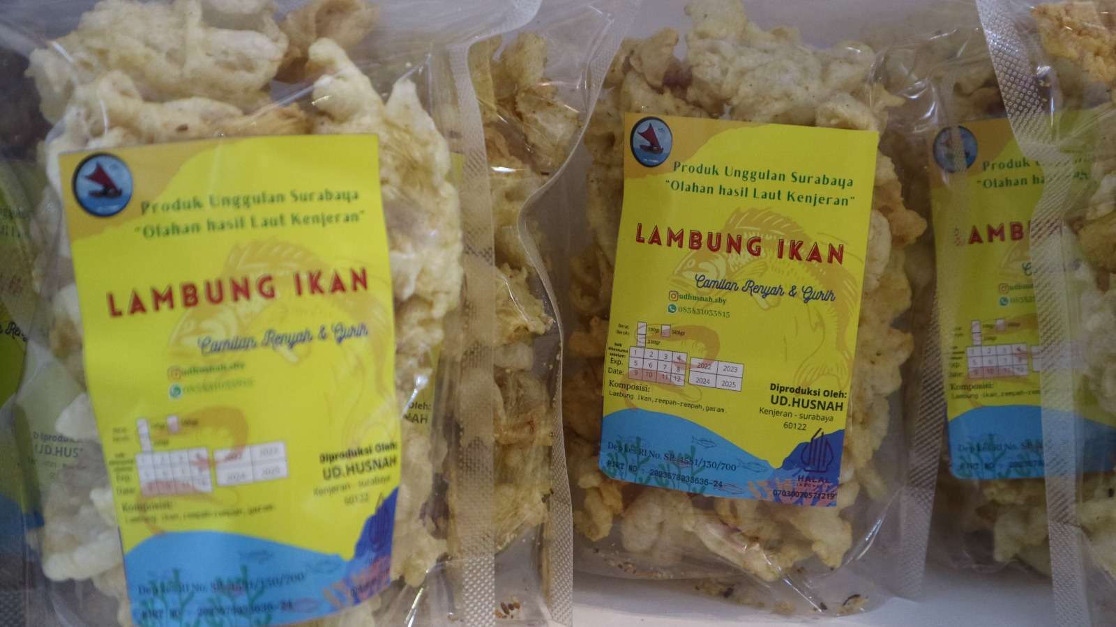 Lambung Ikan